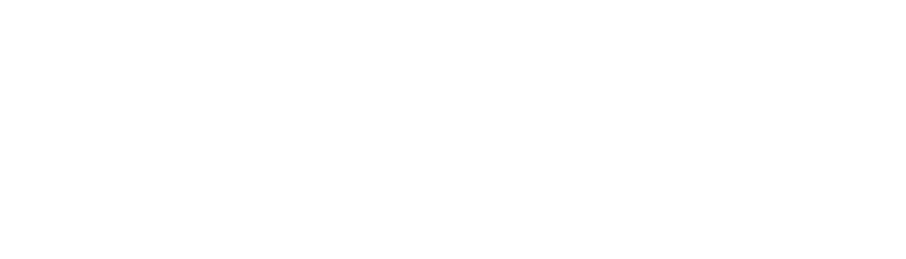 Susi Flying School - PT ASI Pudjiastuti Flying School (Susi Air Group) logo